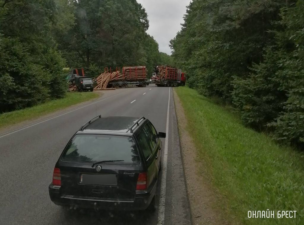 Очевидец: Лесовоз и бревна, Пружанский район