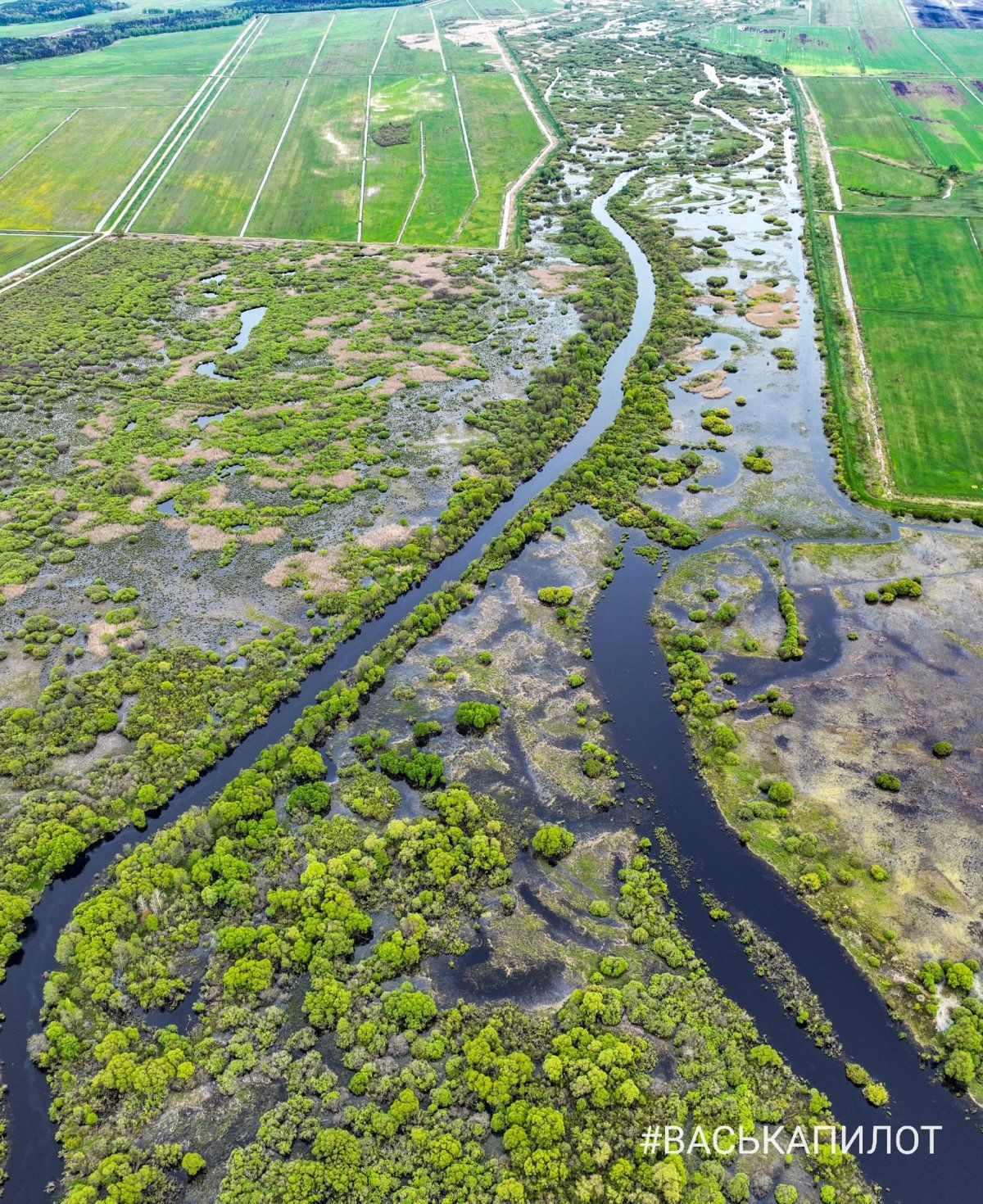 Природа. Кадры сделаны в Брестской области, недалеко от Пинска