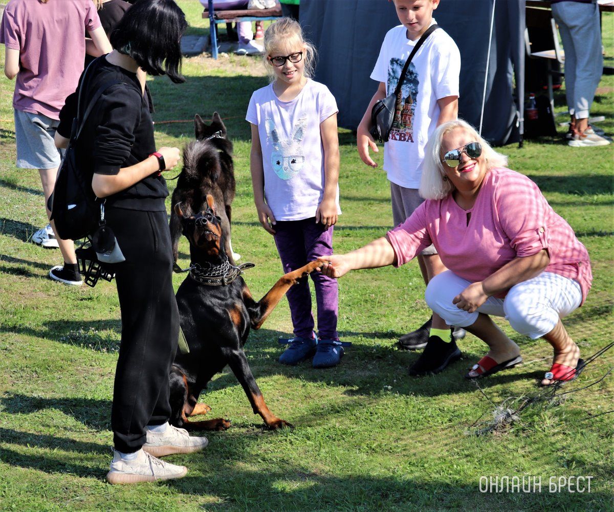 Читатель: Состязания кинологов на Гребном в Бресте. Небольшой фоторепортаж