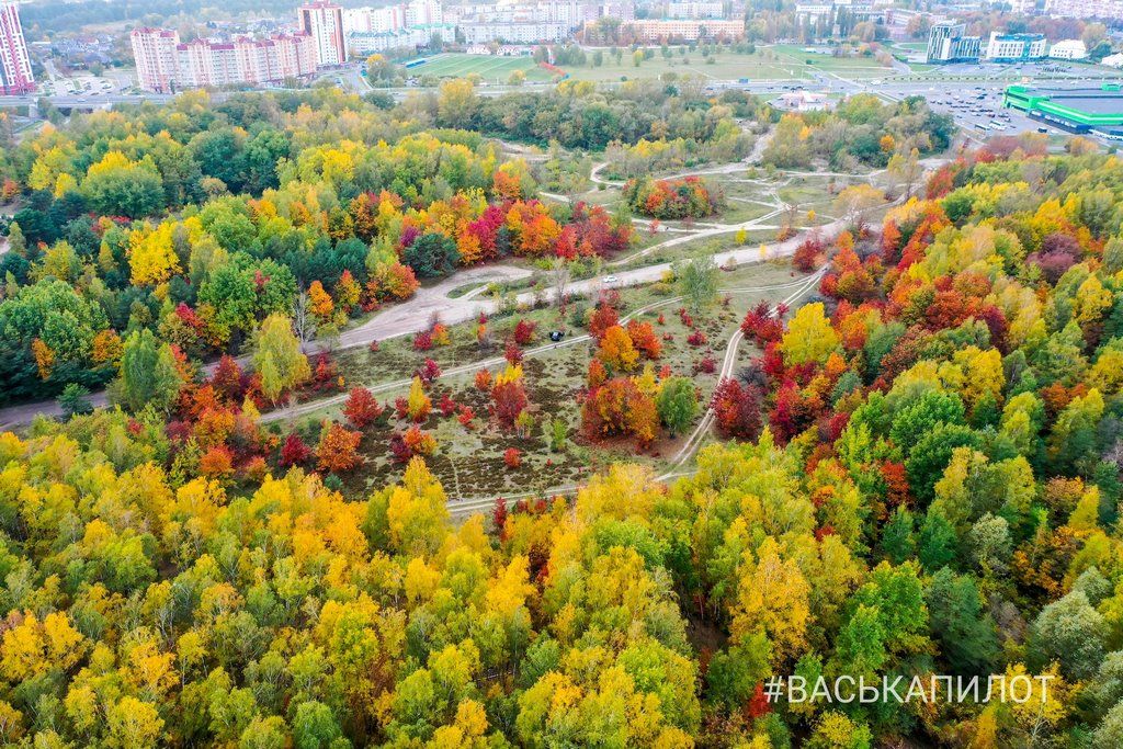 Краски осеннего Бреста