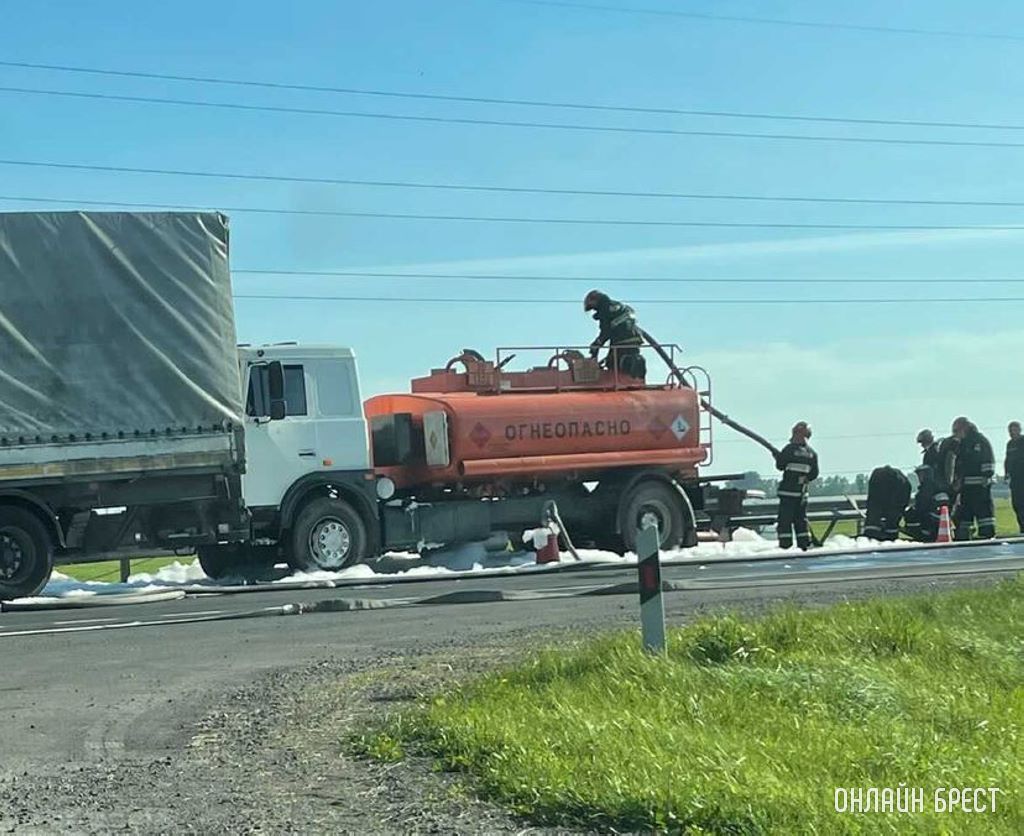 Брестская область, Дрогичинский район, поворот на Завелевье с перекрёстка М10