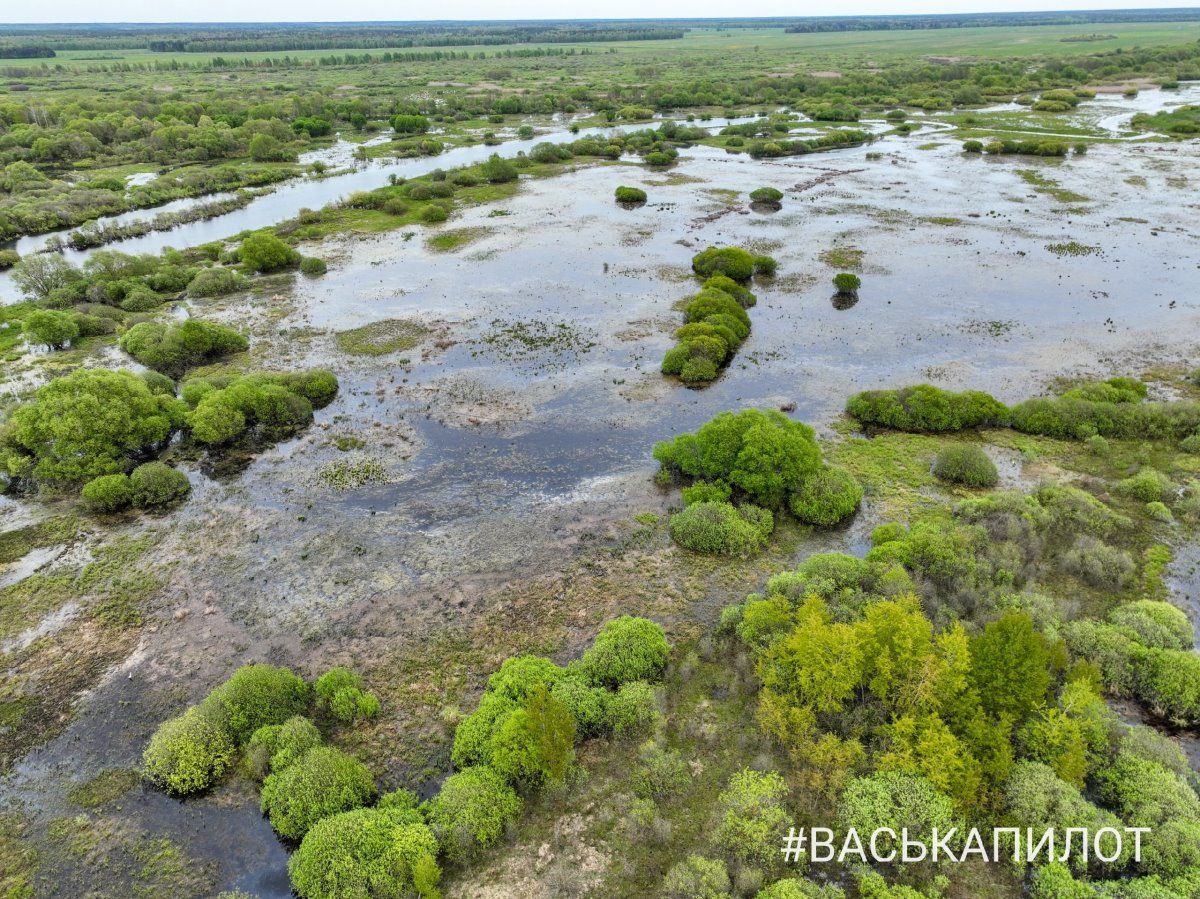 Природа. Кадры сделаны в Брестской области, недалеко от Пинска