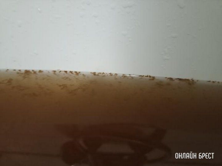 Читатель: Решила искупать ребенка, но что-то пошло не так :(