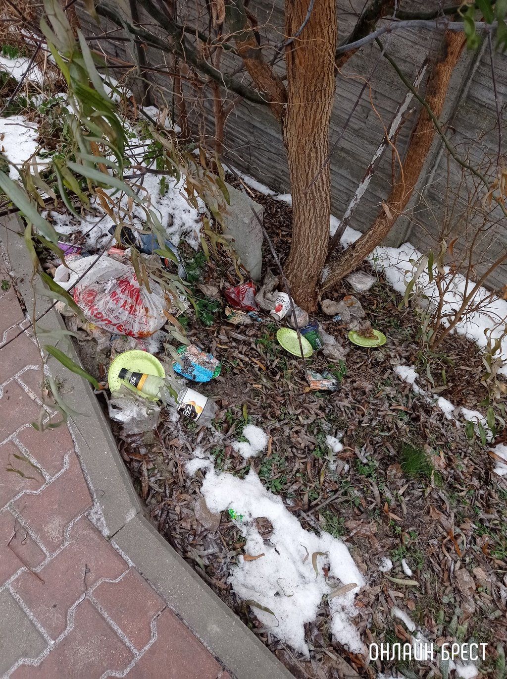 Читатель: Как так можно выбрасывать мусор? Брест, ул. Пионерская, в районе светофора, который на мост.