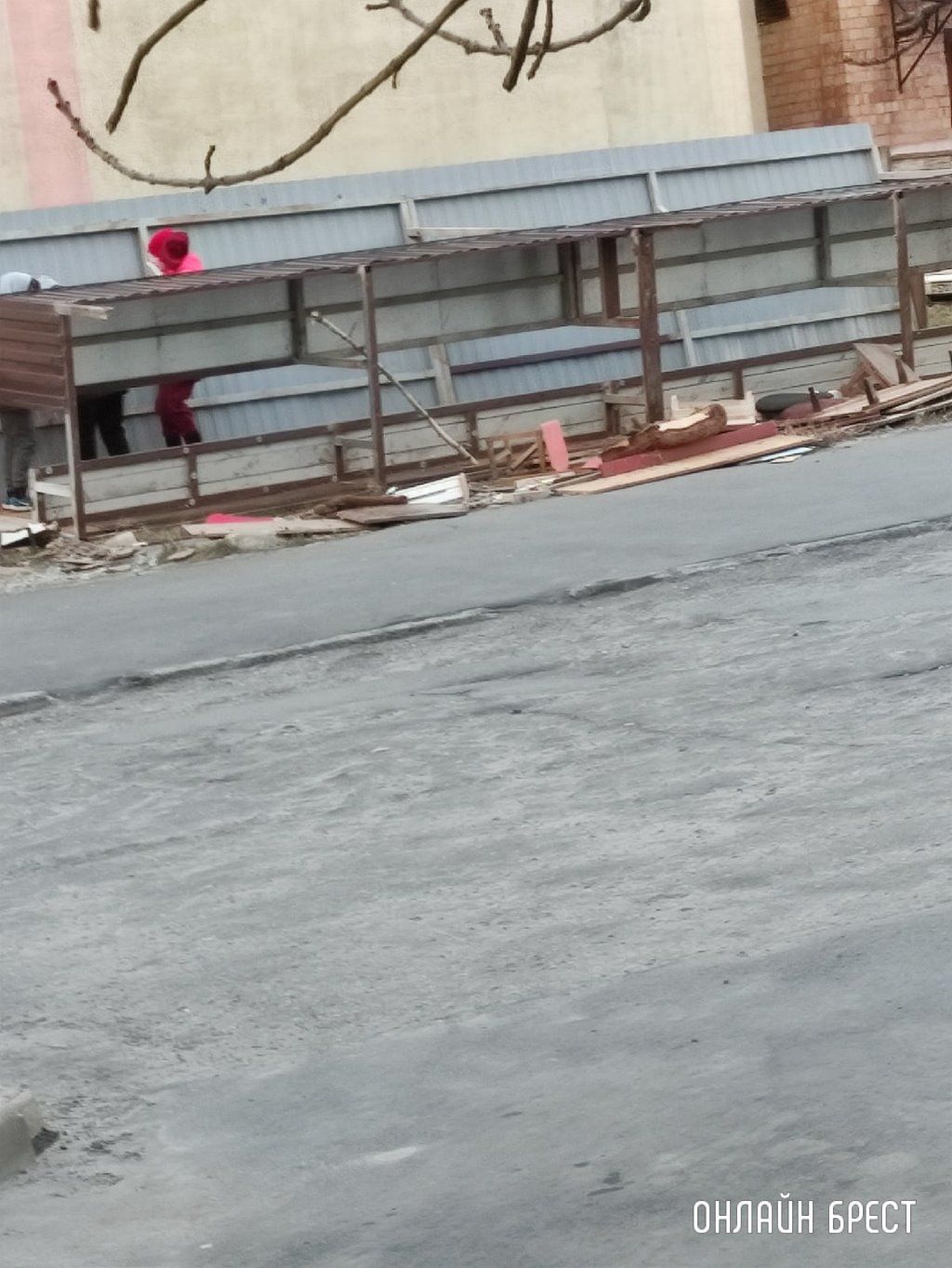 Читатель: В Бресте на Я.Купалы дерево упало в сторону дома. Вот ещё сегодняшние последствия сильного ветра