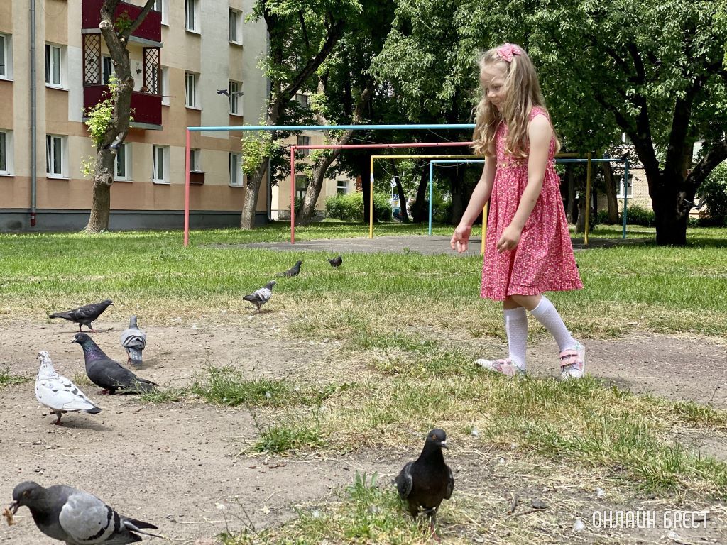 Дети и голуби. Дворы Бреста
