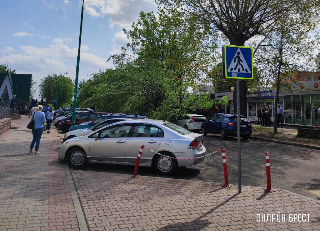 Читатель: В Бресте возле ЦУМа на автомобиль упало дерево