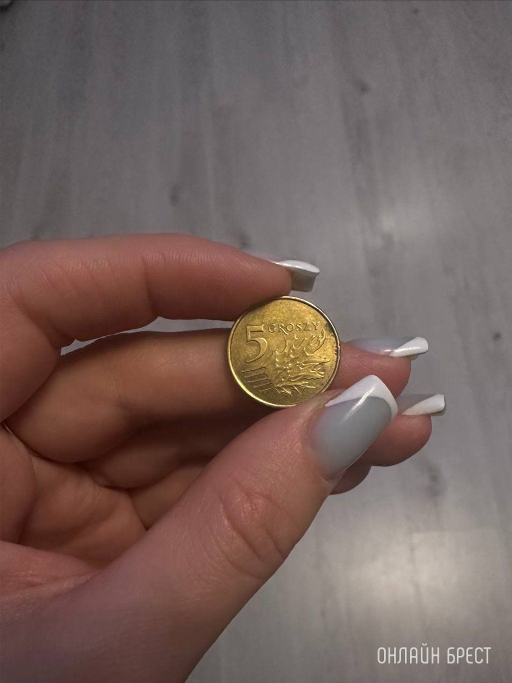 Читательница: Ситуация в Бресте