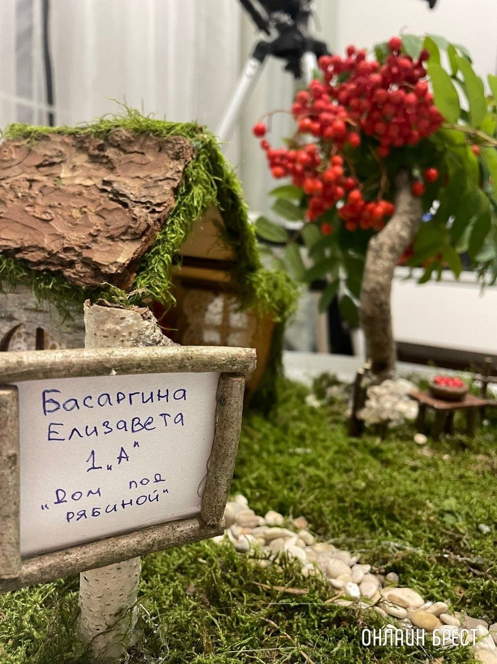 Читатель: Вот такая поделка получилась. Басаргина Лиза, Брест, гимназия №2