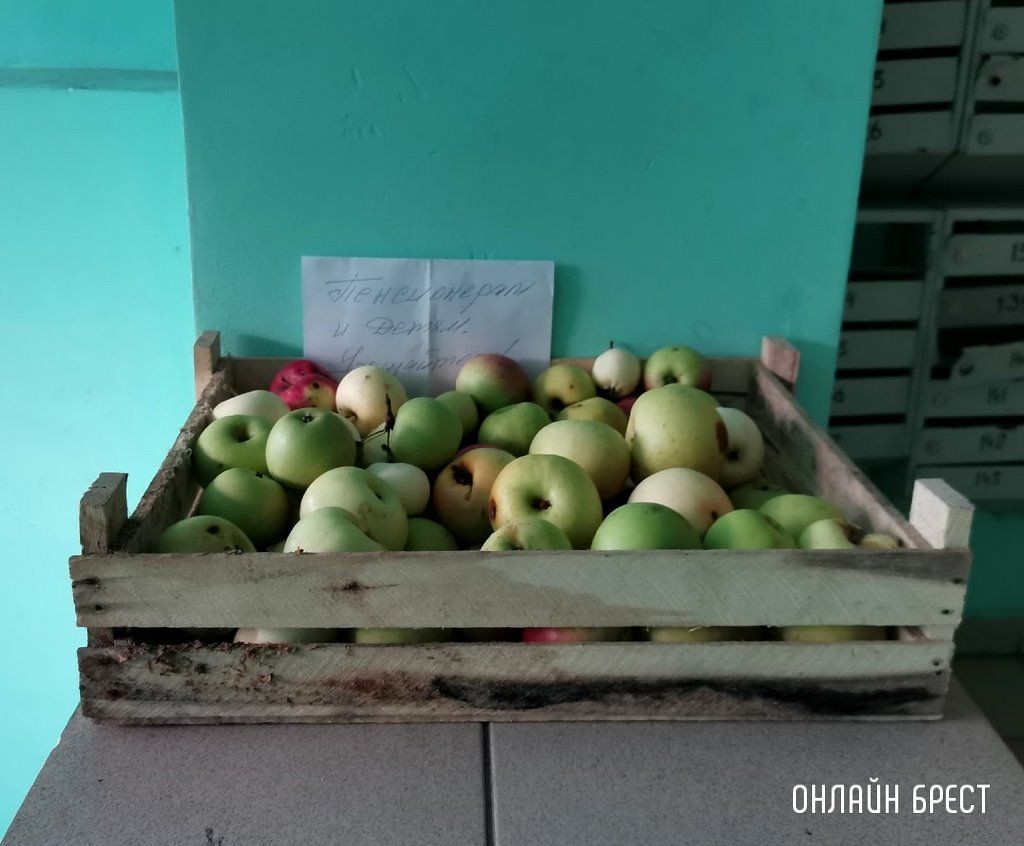 Читатель: Приятно был удивлен сегодня утром зайдя в один из домов по ул. Суворова в Бресте