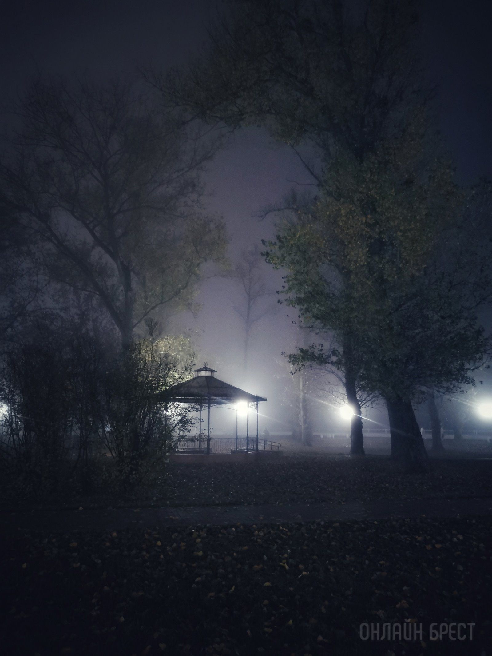 Читатель: Брест накрыло красивым туманом