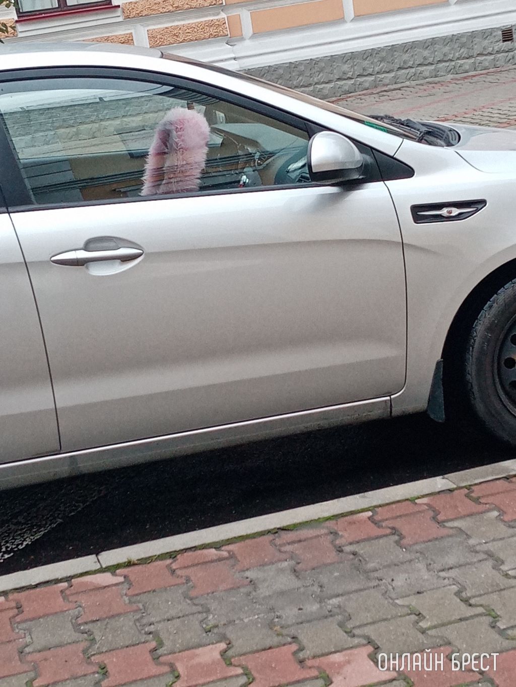 Похолодало :)