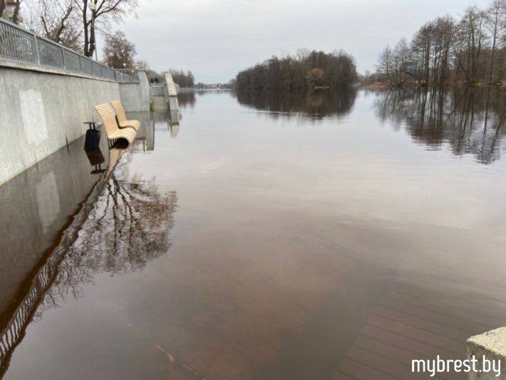 Скамейки в воде. Как выглядит Набережная в Бресте