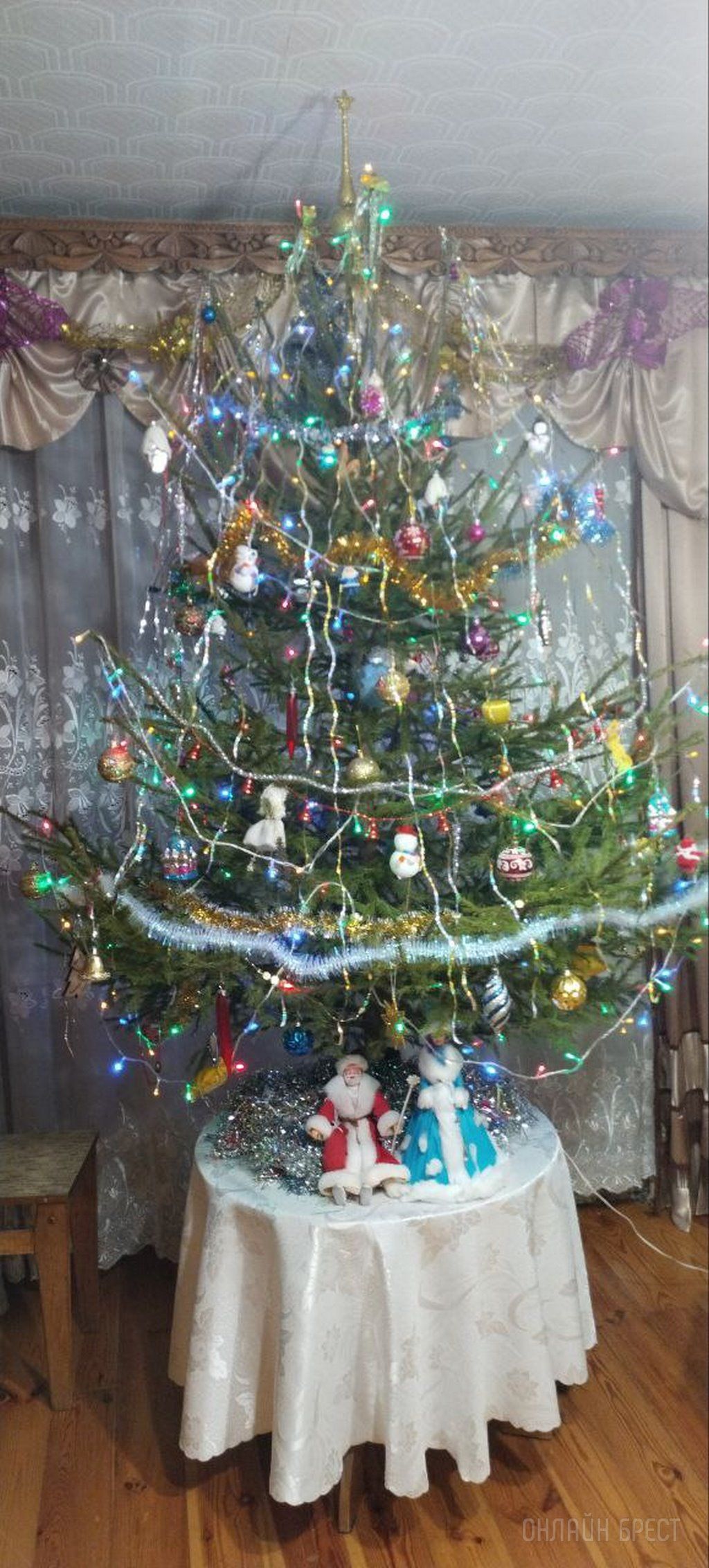 Новогодние красавицы наших читателей