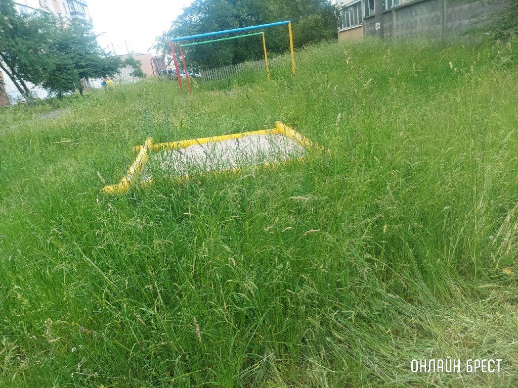 Читатель: Так выглядит детская площадка по ул.Шоссейной, 7. После прогулки во дворе, у ребёнка с одежды сняли клеща