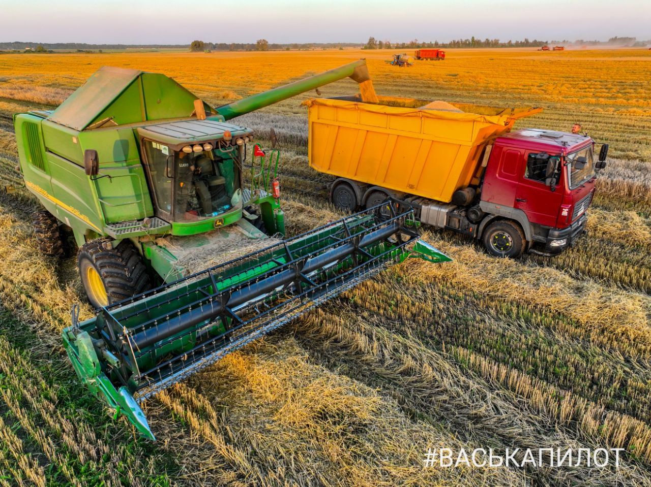 Комбайнеры в поле! Рабочий процесс уборки зерна в Брестском районе