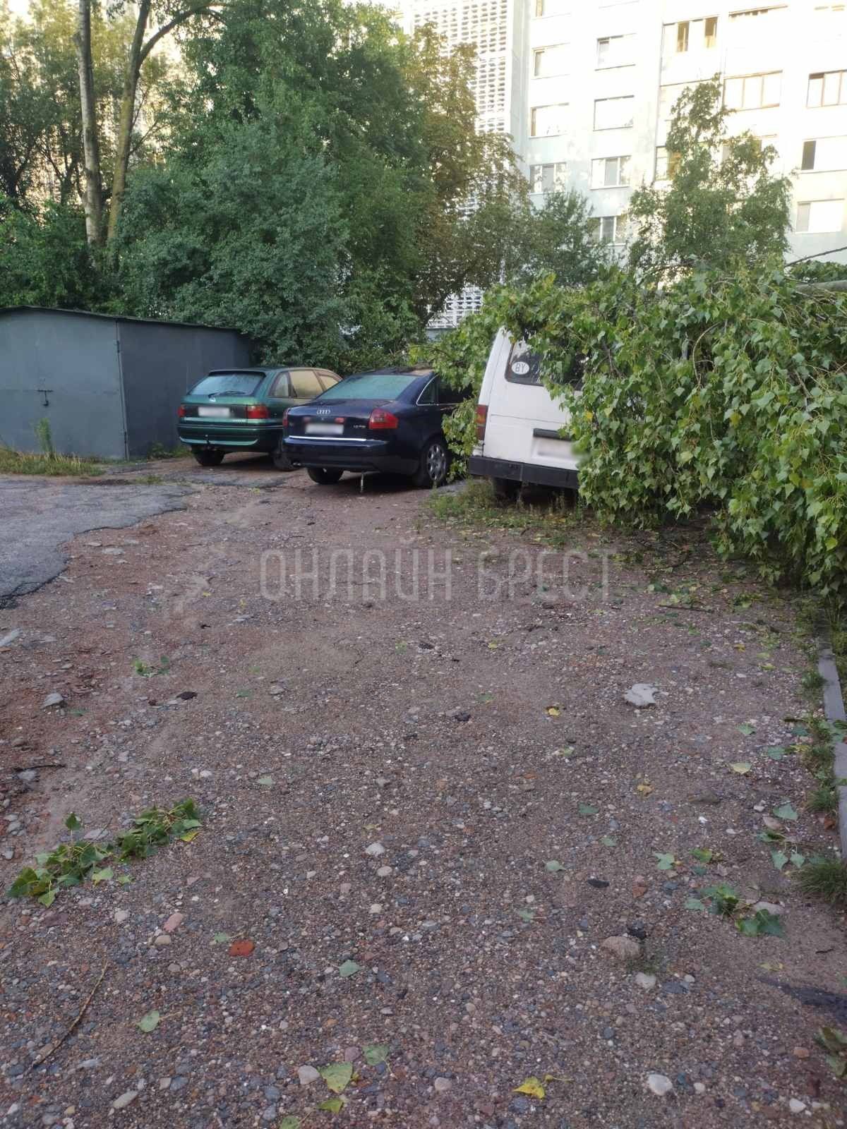 Читатель: Последствия ночной непогоды в Бресте. На ул. Куйбышева и ул. Янки Купалы деревья упали на машины