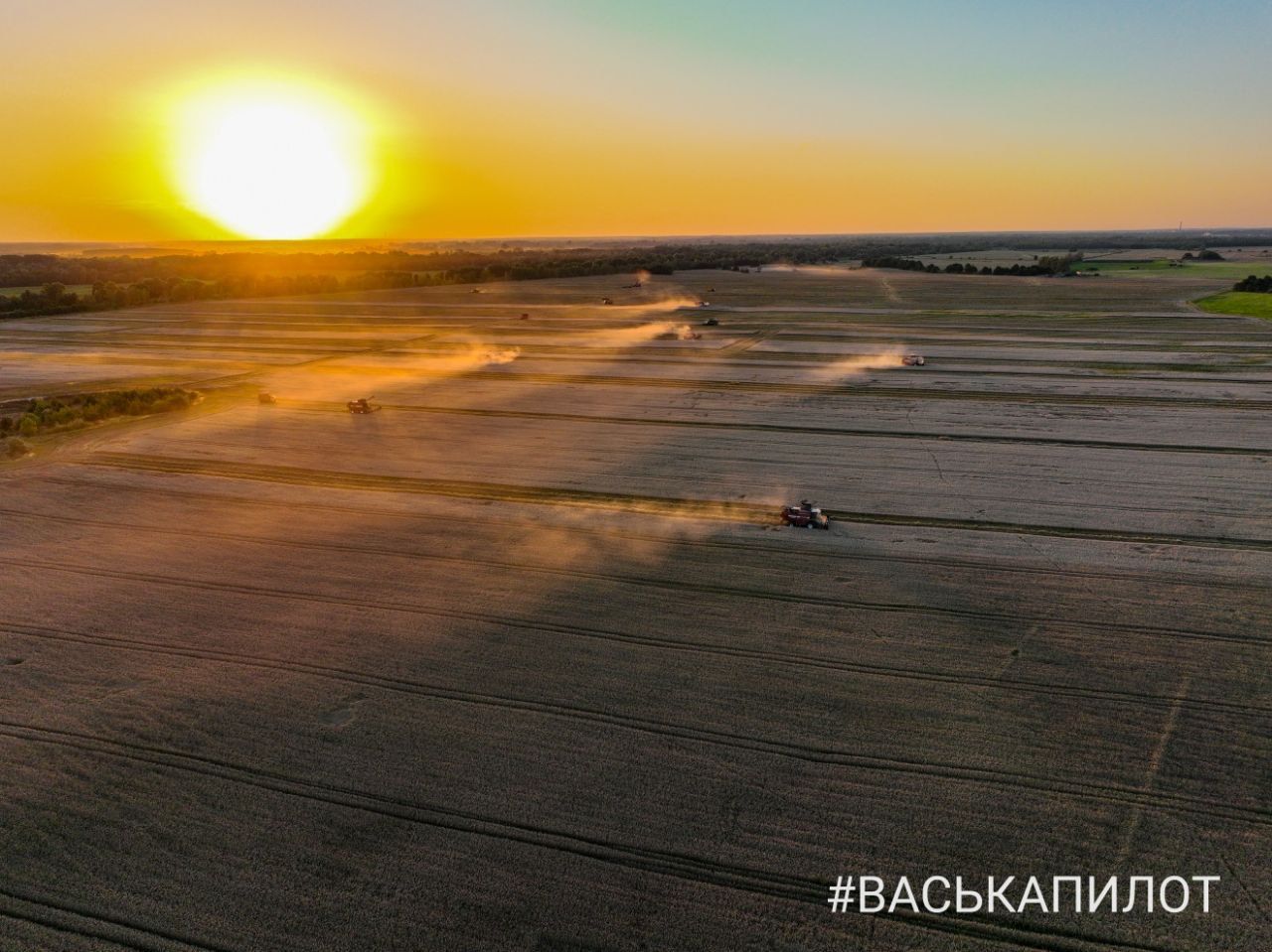 Комбайнеры в поле! Рабочий процесс уборки зерна в Брестском районе