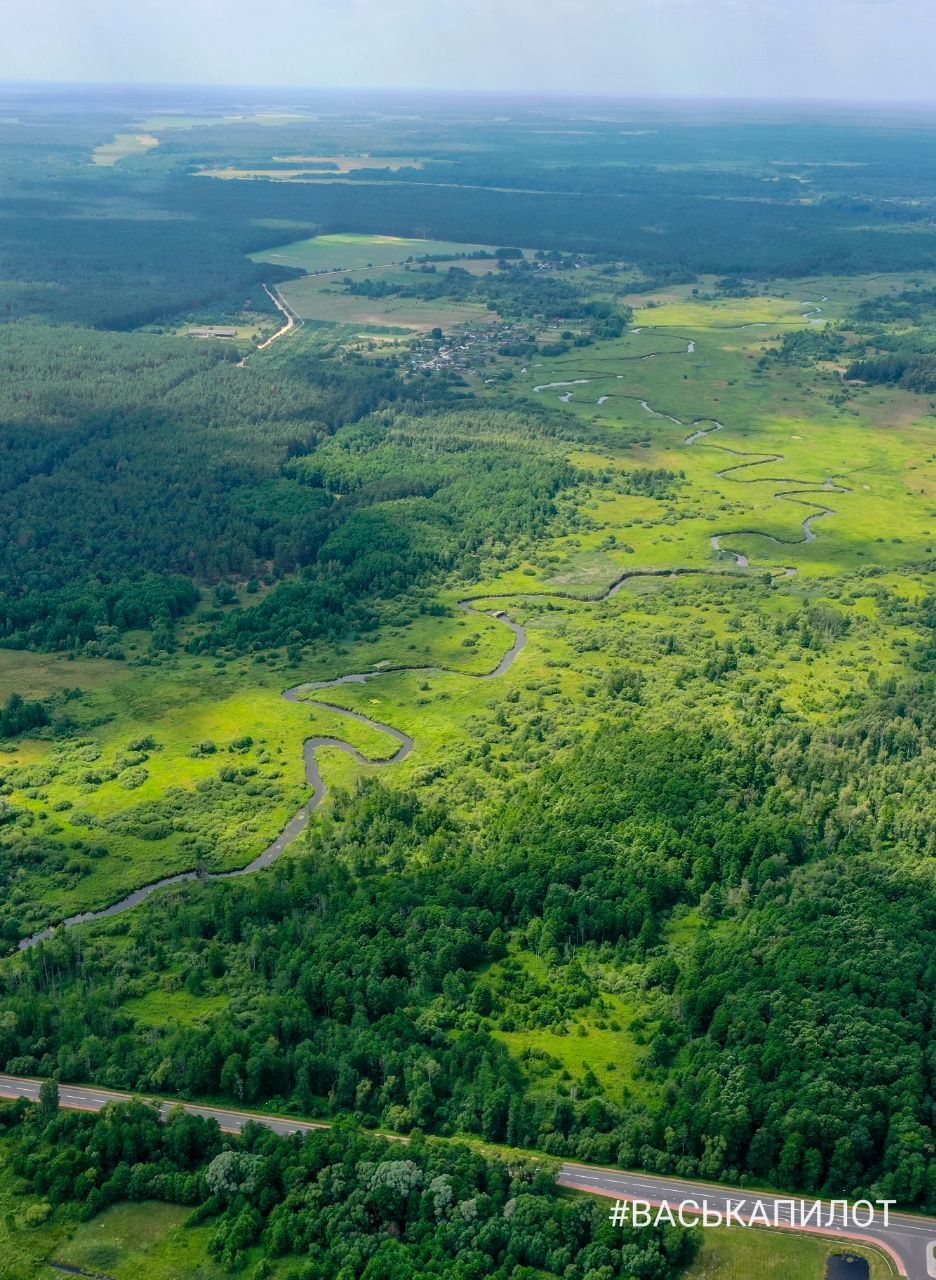 Археологический музей в Беловежской пуще. Посмотрите видео и фото с высоты
