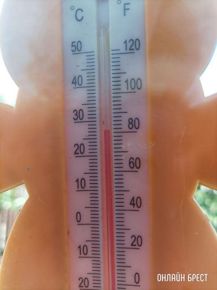 Читатель: Брестская область, Ивановский район. И это в тени!