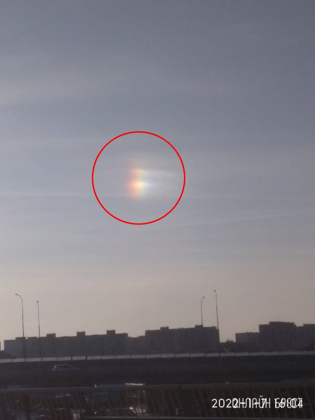 Читатель: Что это было?