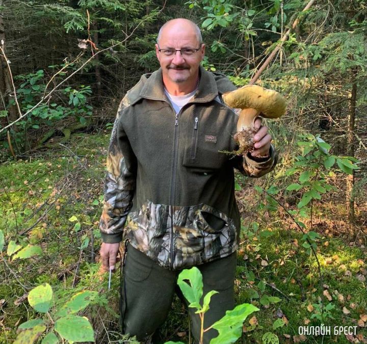Вот такой попался огромный гриб