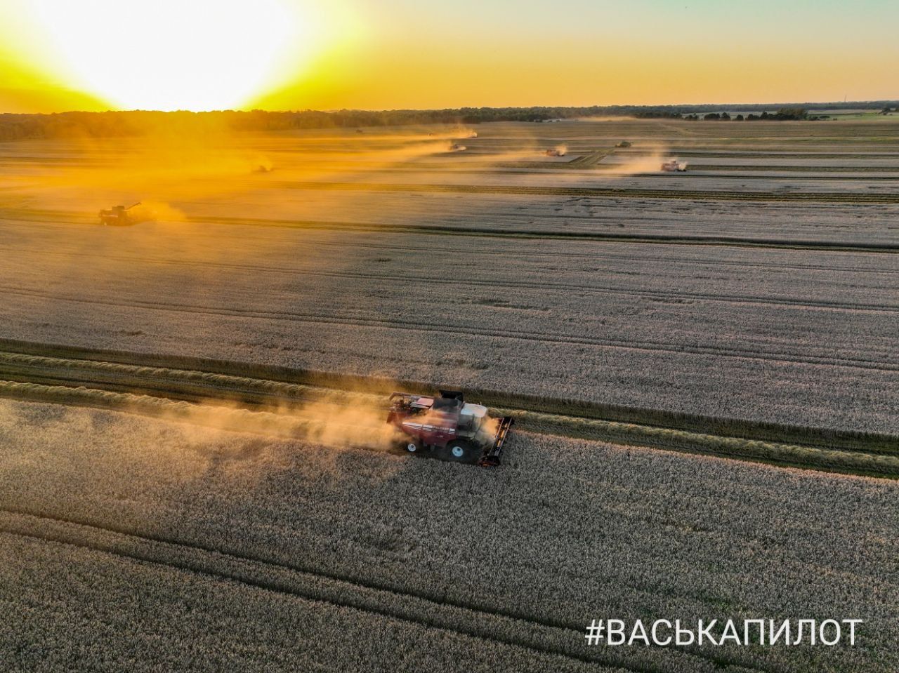 Комбайнеры в поле! Рабочий процесс уборки зерна в Брестском районе