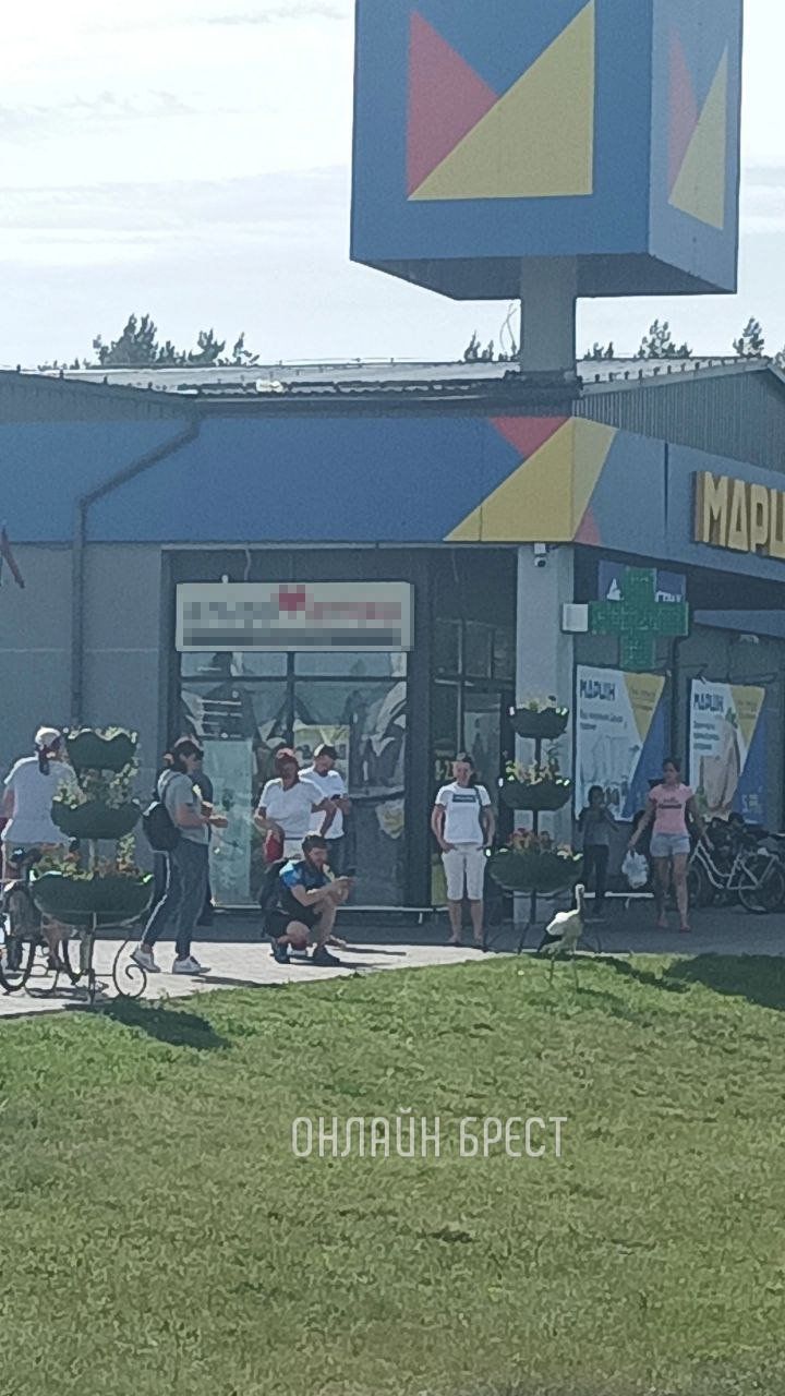 Читатель: Разве аисты ещё не улетели? Или этот потеряшка?