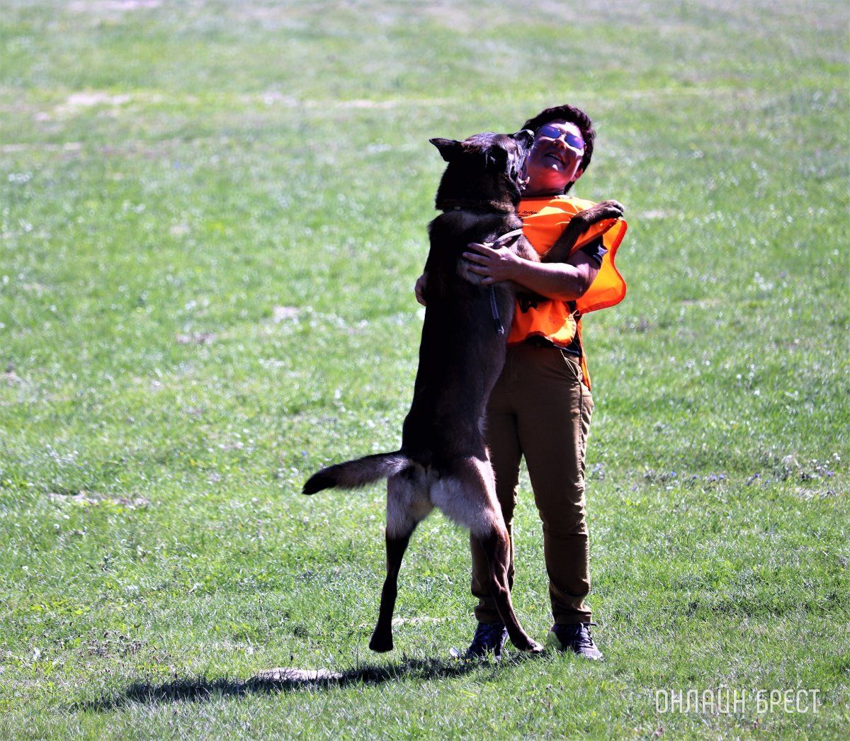 Читатель: Состязания кинологов на Гребном в Бресте. Небольшой фоторепортаж