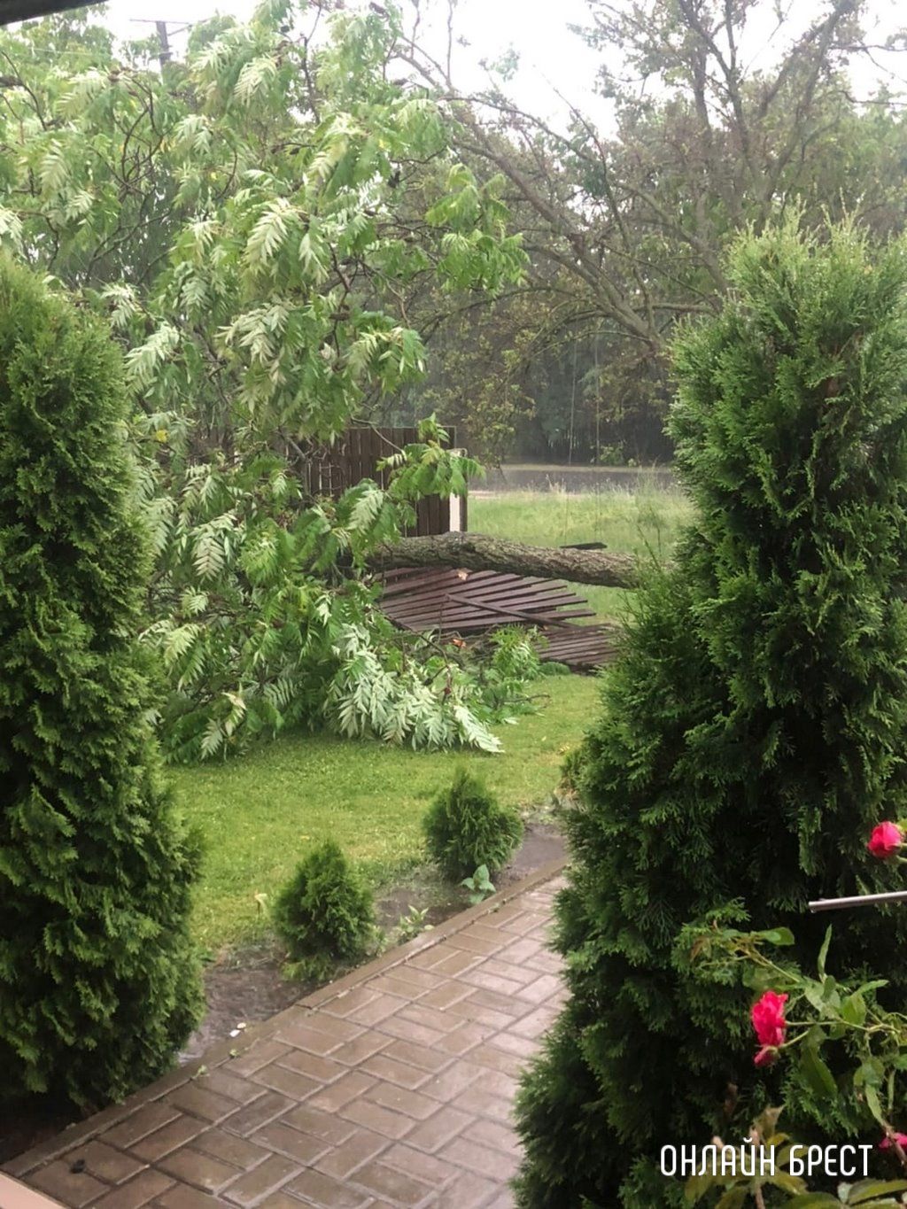 Читатель: Брест, ул.Фортечная. Дерево положило забор