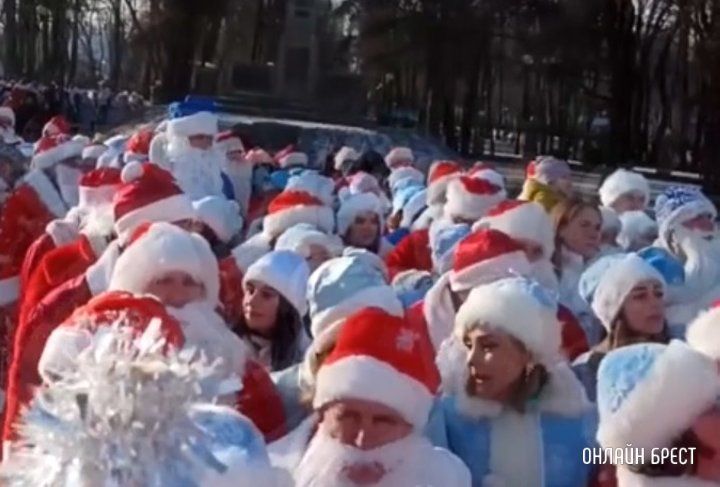 Читатель: Посмотрите, сколько их много! Видео снято сегодня в Бресте