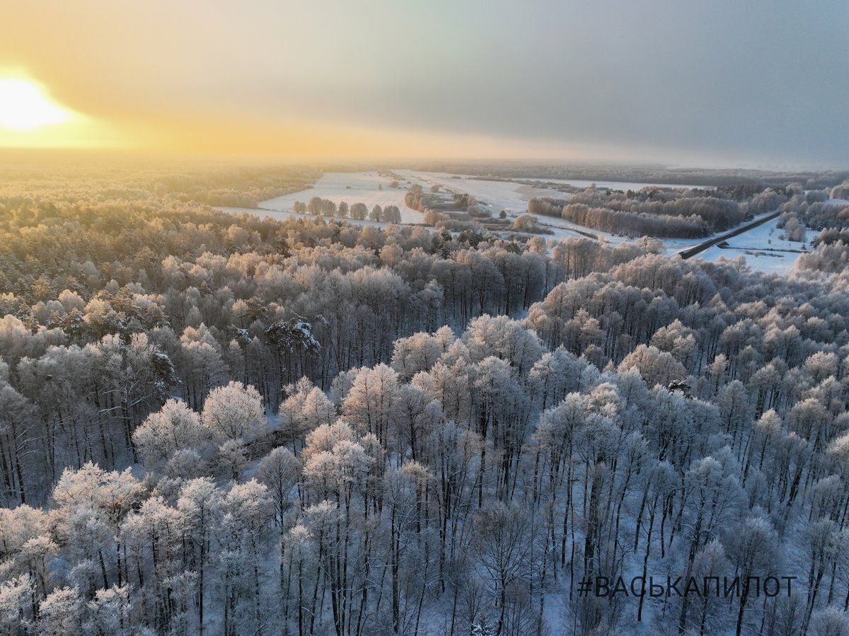 Красивые зимние кадры сняты пару дней назад в Брестской области