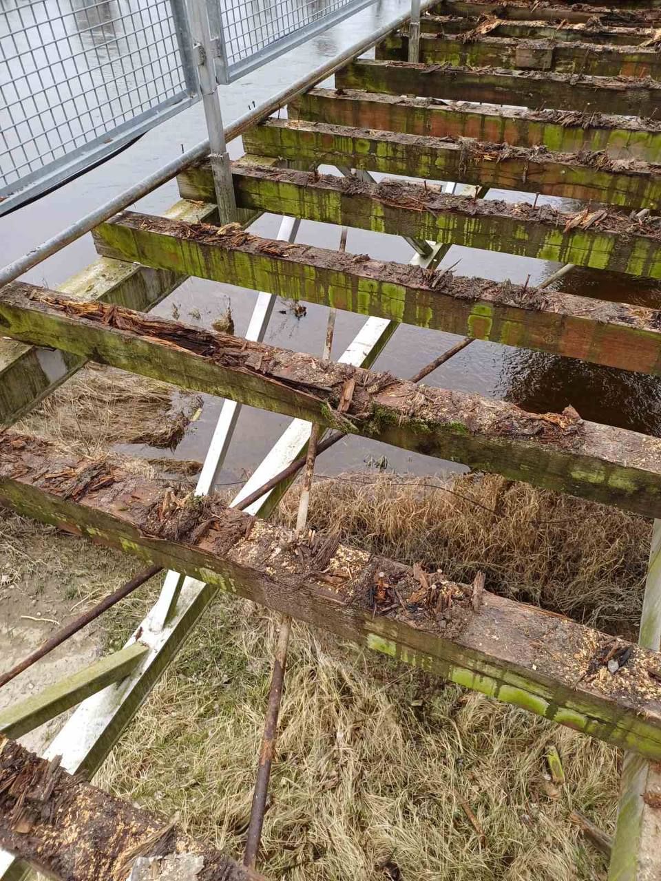 В Бресте ведется реконструкция подвесного моста на остров Пограничный