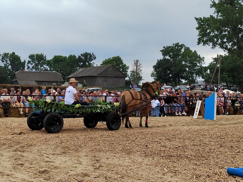 Брестская область. Гонки на телегах устроили на фестивале лошади «Полесская нива–2022»