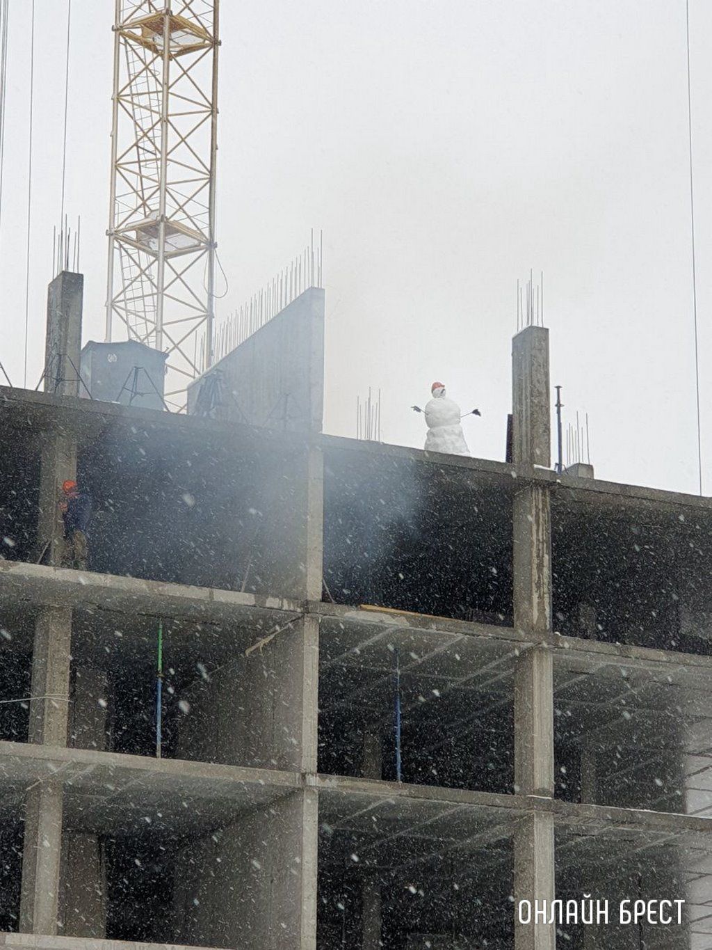 Читатель: Весенний бригадир :)