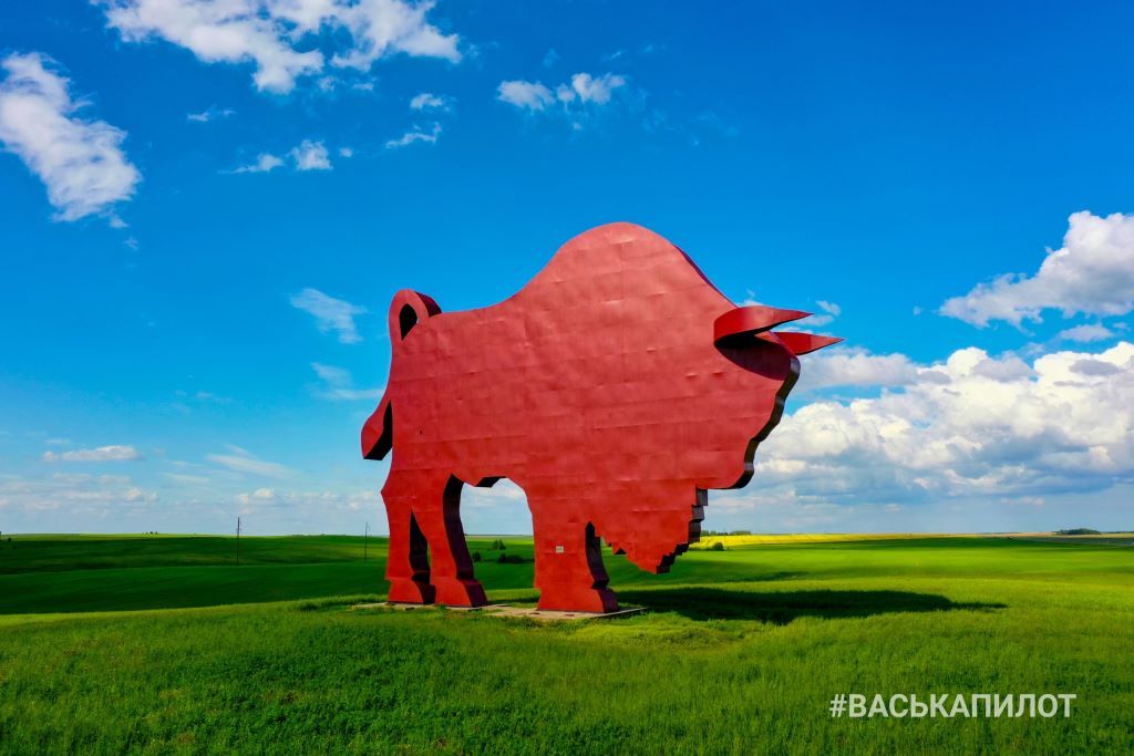 Зубр на трассе Брест-Минск