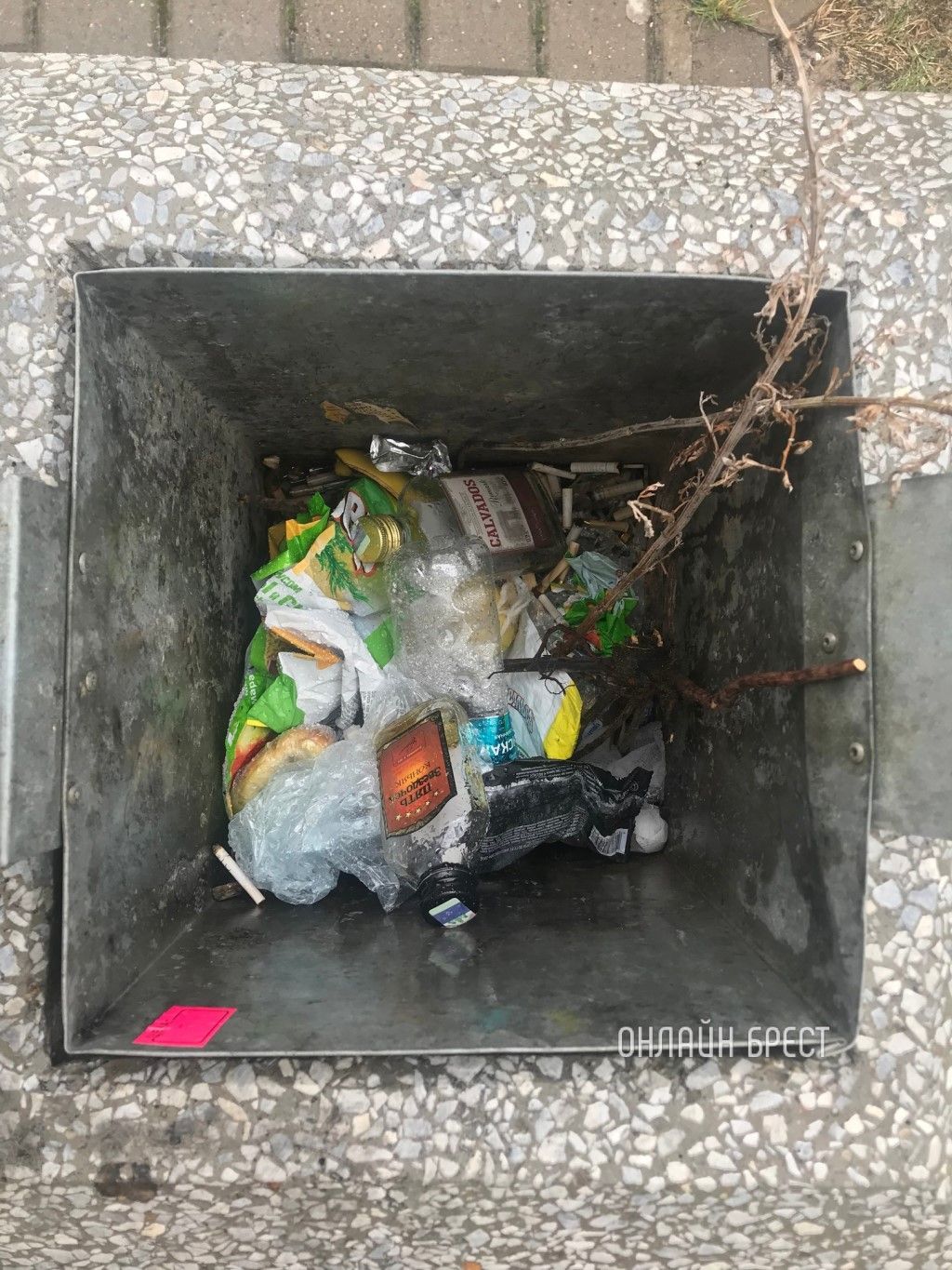 Читатель: Каждый раз, выбрасывая любой мусор в ближайшую урну на улице, невольно глаз падает на содержимое