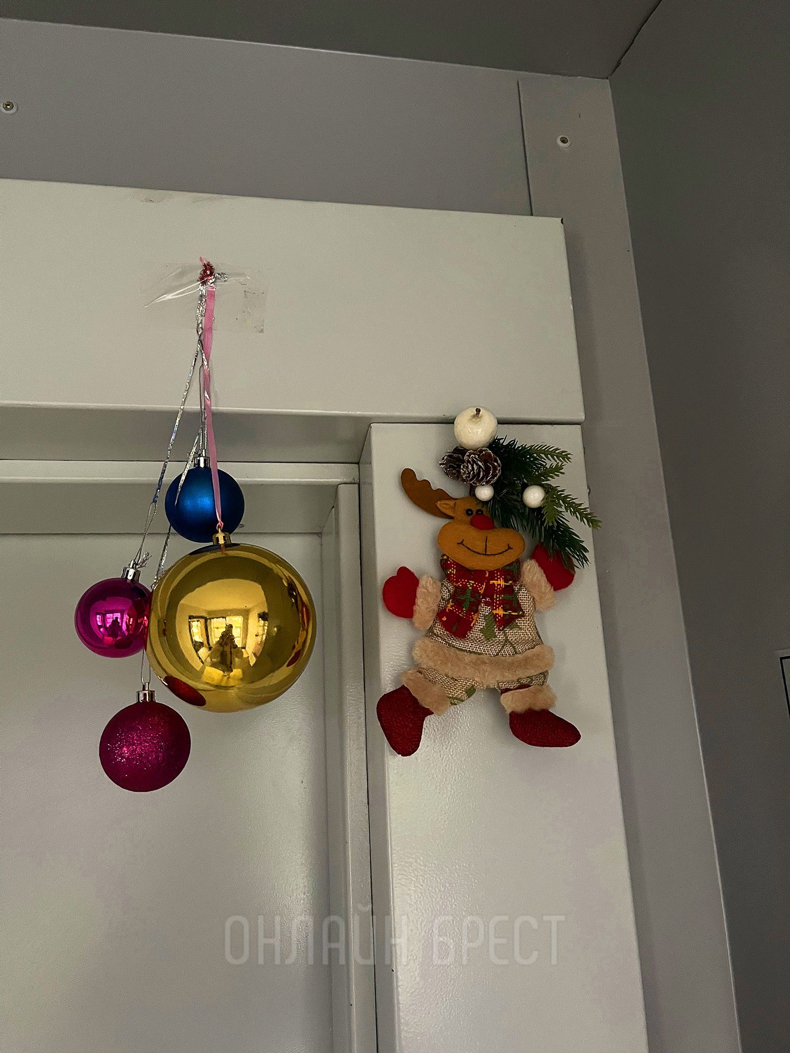 Читатель: Украшение подъезда на ул. ГОБК в Бресте