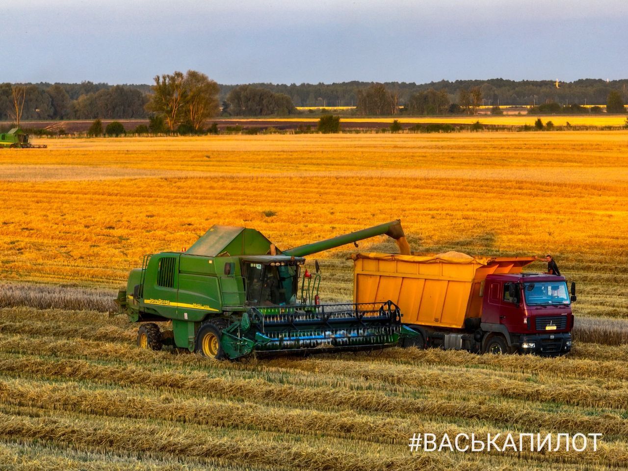 Комбайнеры в поле! Рабочий процесс уборки зерна в Брестском районе