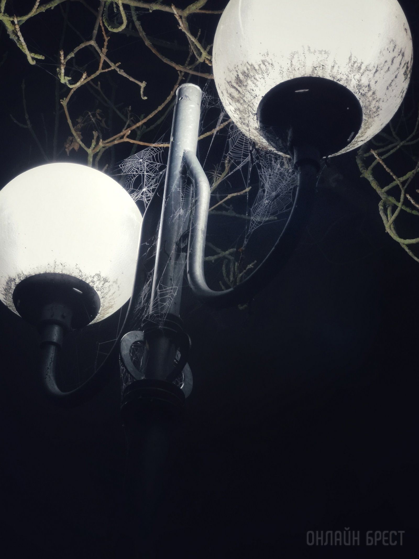 Читатель: Брест накрыло красивым туманом