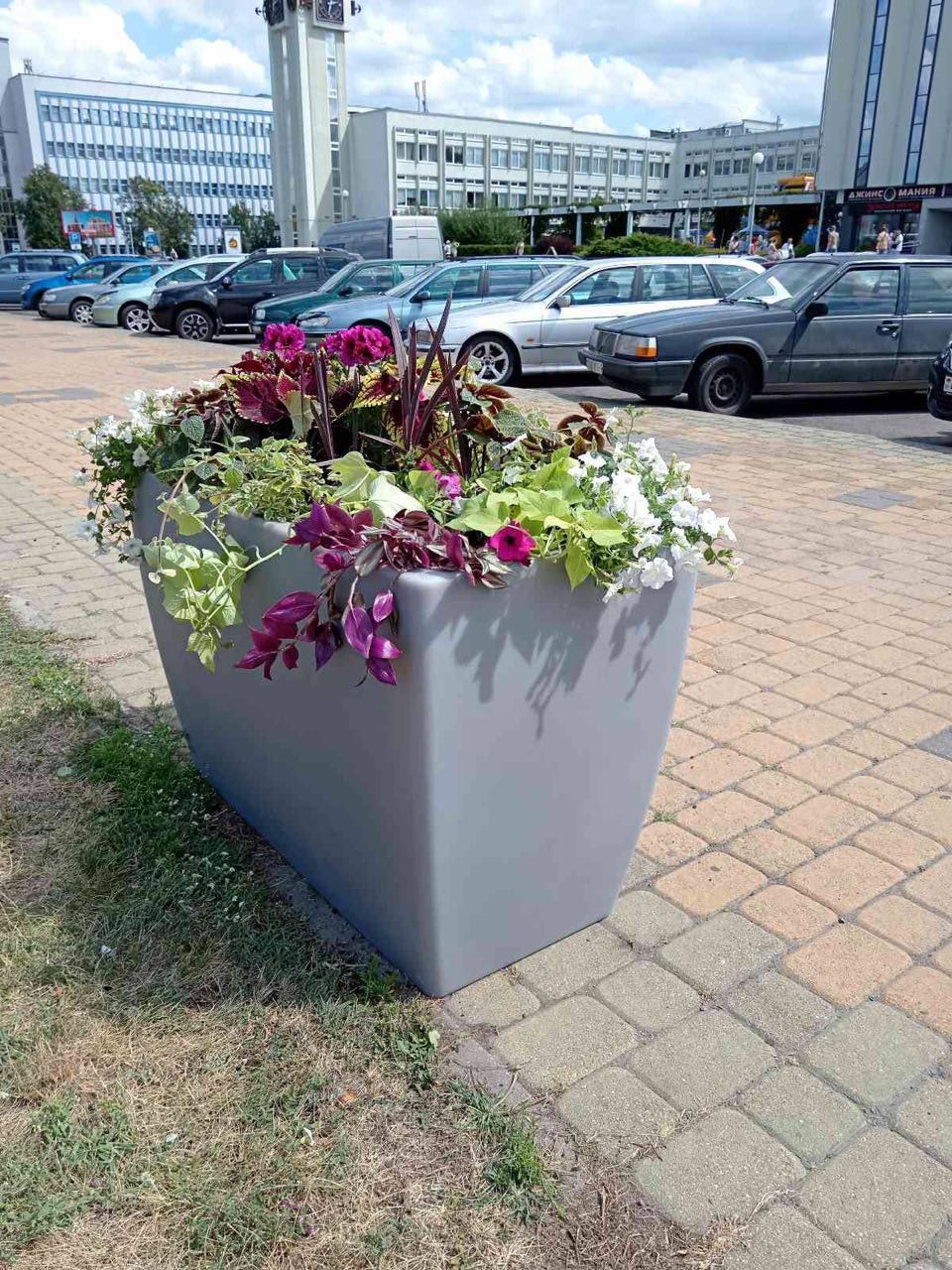 Брест продолжает готовится к празднованию Дня города