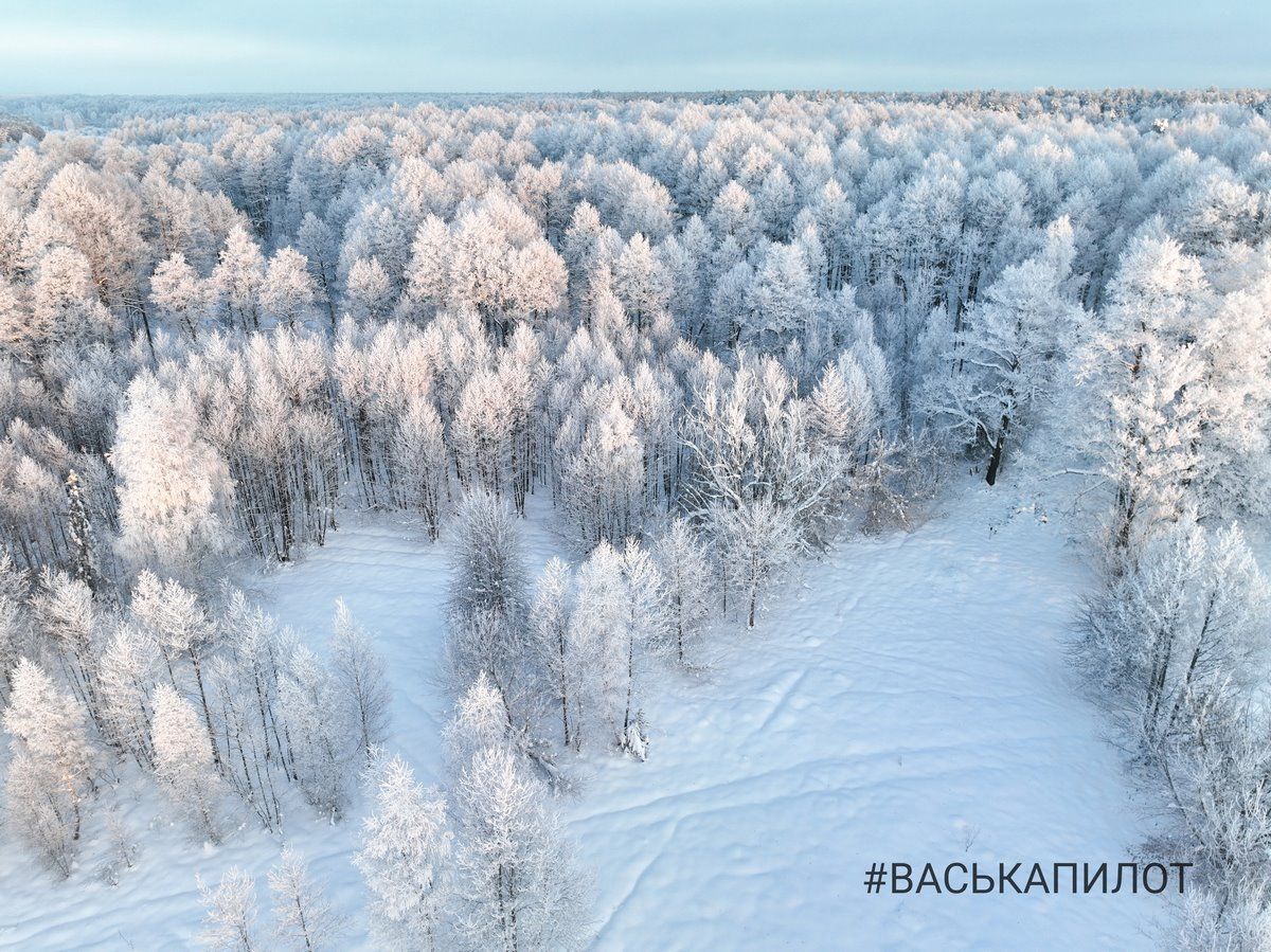 Красивые зимние кадры сняты пару дней назад в Брестской области