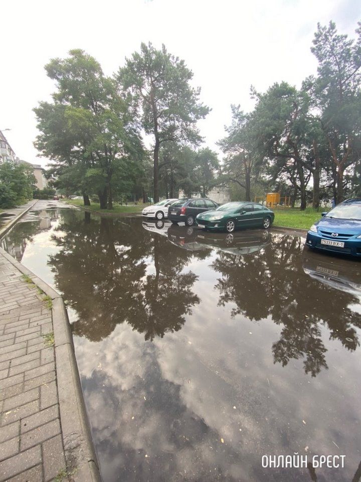 Читательница: И так каждый раз, когда идёт дождь. Брест, ул. Жукова,12