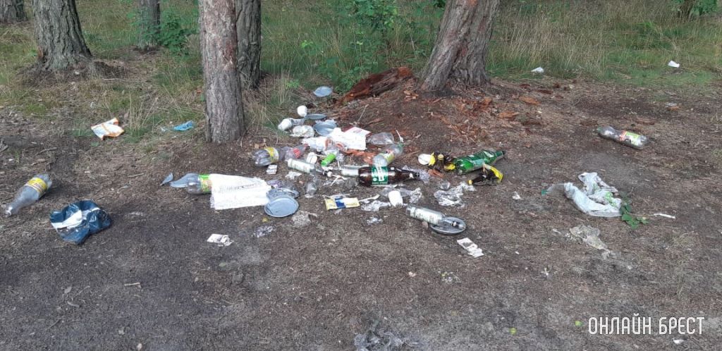 Брестчане, убирайте за собой мусор! Фото сделано на Красном дворе