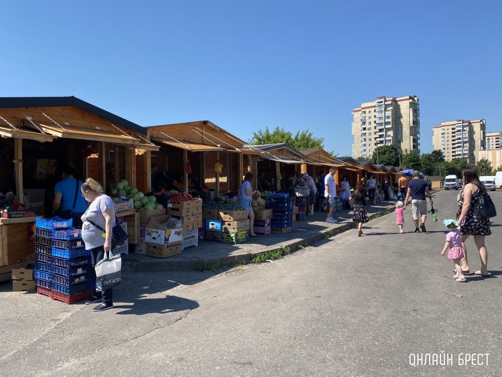 Что почем на рынке за ЦУМом в Бресте. Фоторепортаж