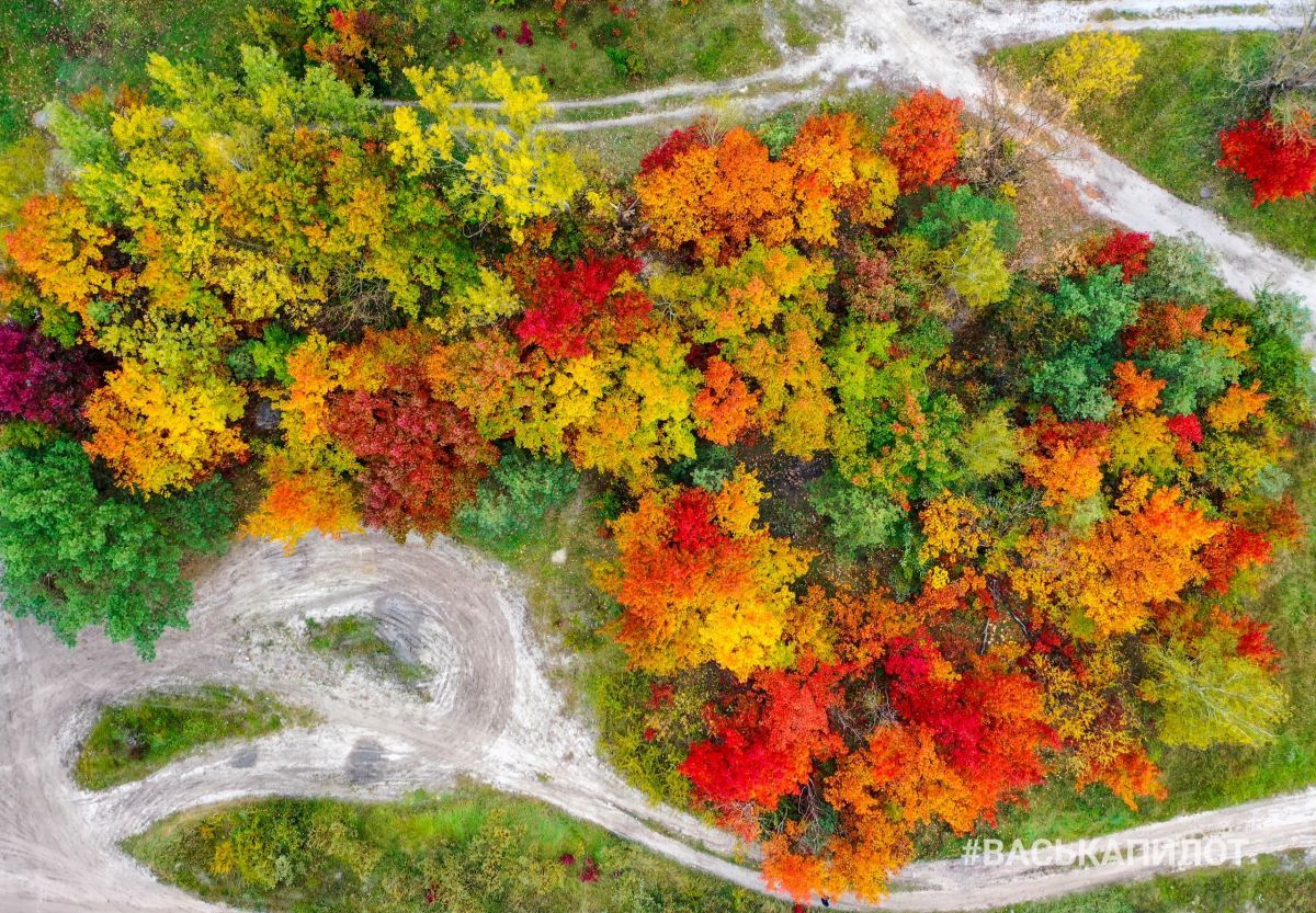 Посмотрите на осенний Брест с высоты