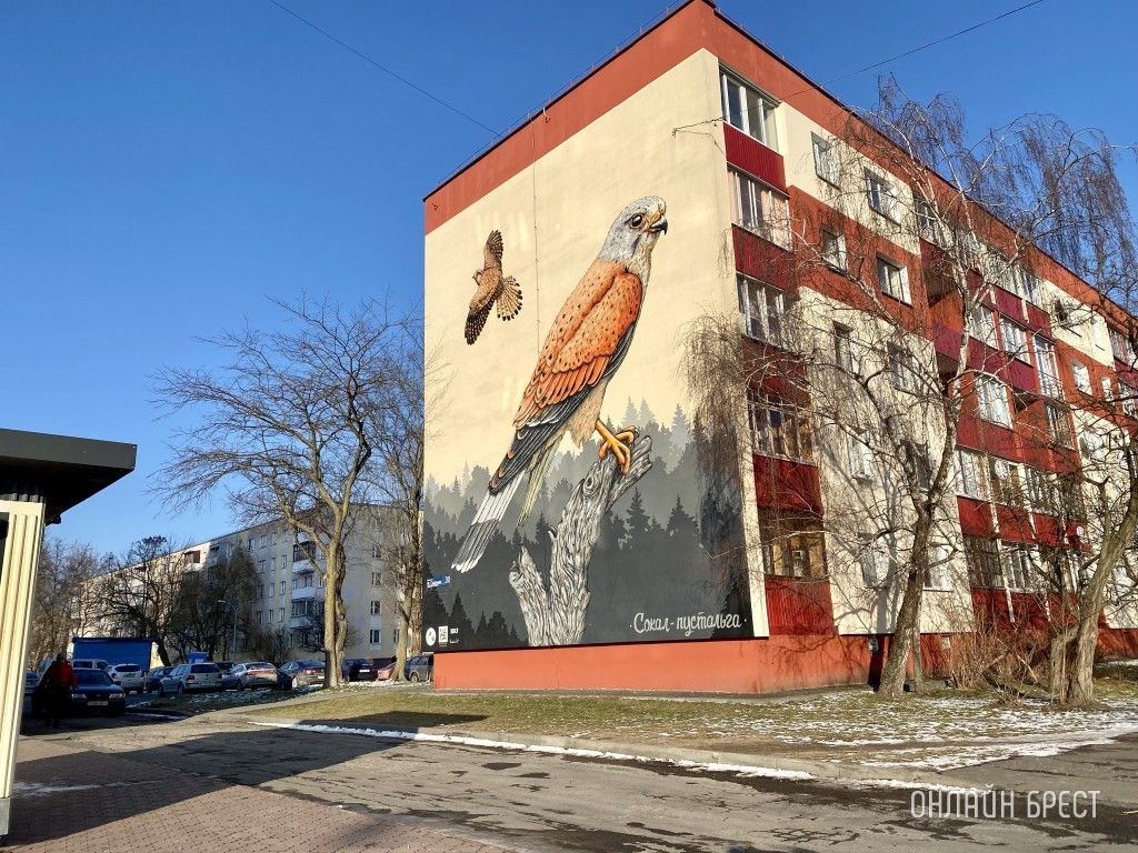 Читатель: Как красиво! Мурал с соколом-пустельгой на Набережной Франциска Скорины в Бресте