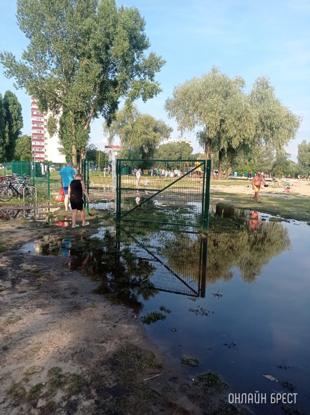 Читатель: Очень хотелось бы, что бы и эту ситуацию как-то поправили