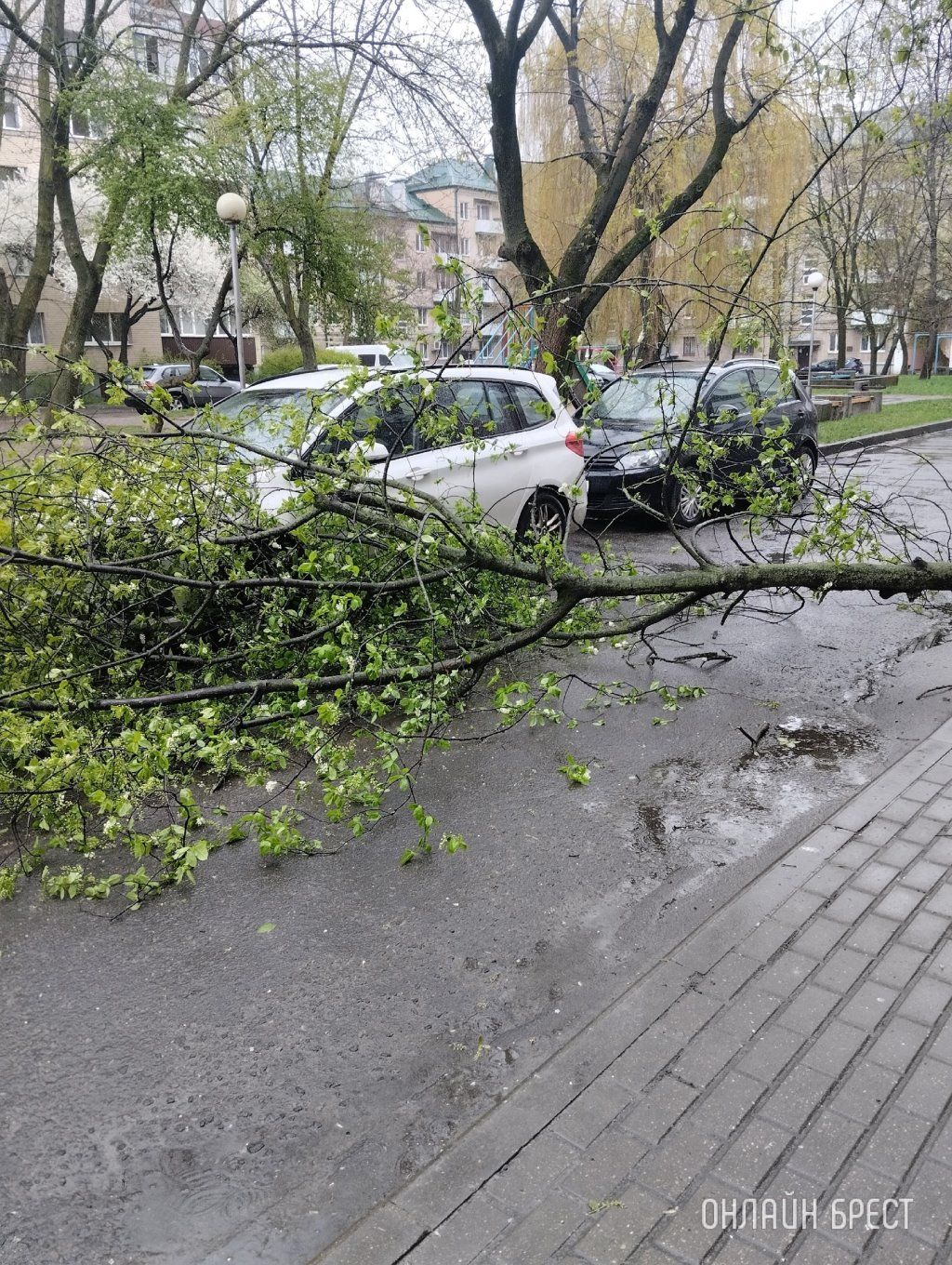 Читатель: Сегодня в Бресте, за остановкой бульвар Космонавтов