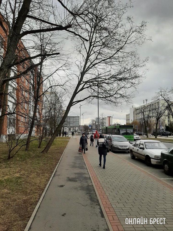 Читатель: Может быть своим фото спасу кого от нехорошей ситуации